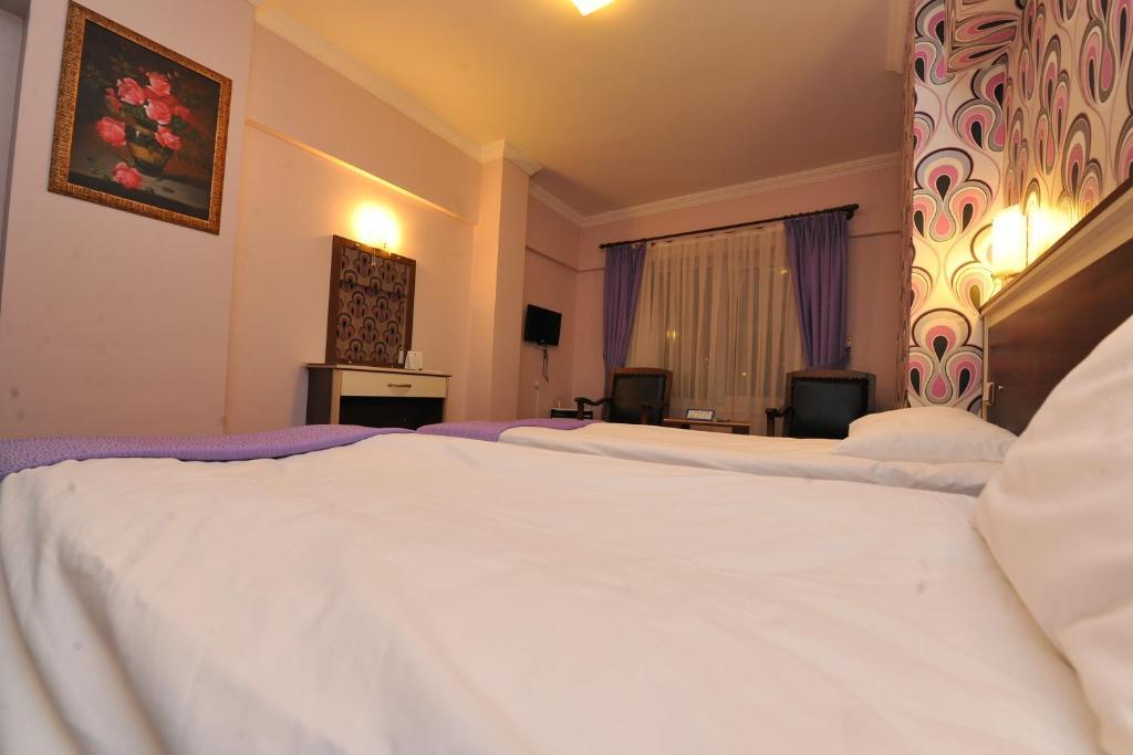 Basak Termal Hotel Kızılcahamam 部屋 写真